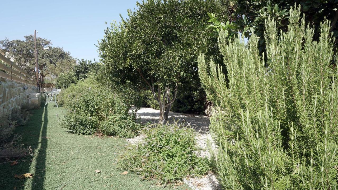 Studio Eleni - Oasis Holiday Houses Kokkinos Pirgos Exterior foto