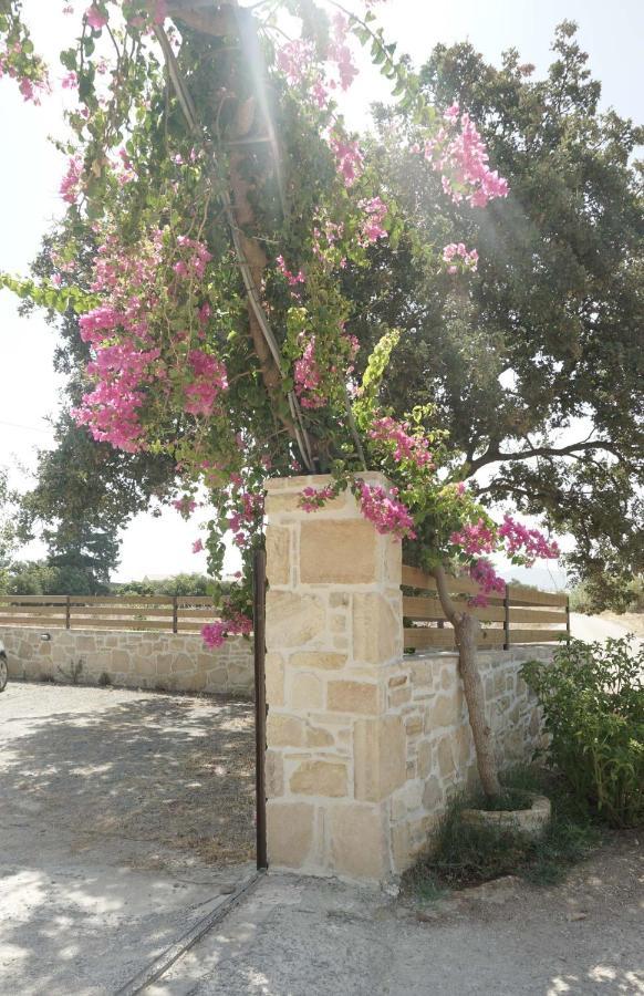 Studio Eleni - Oasis Holiday Houses Kokkinos Pirgos Exterior foto